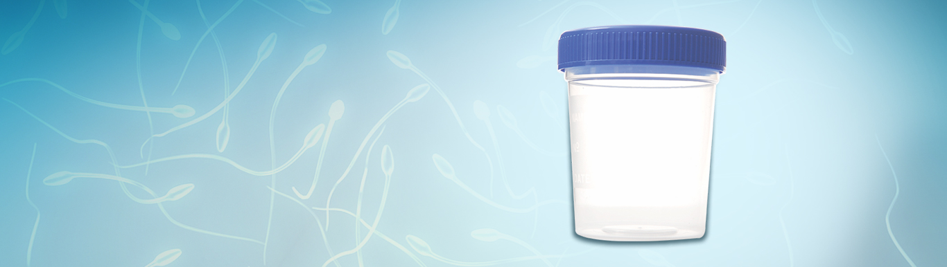 Bootstrap Touch Slider